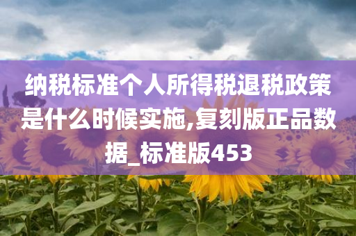 纳税标准个人所得税退税政策是什么时候实施,复刻版正品数据_标准版453