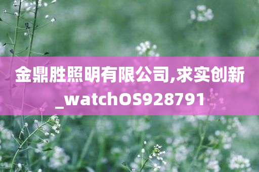 金鼎胜照明有限公司,求实创新_watchOS928791