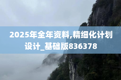 2025年全年资料,精细化计划设计_基础版836378