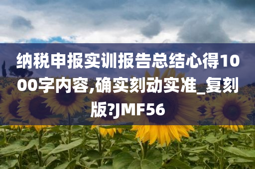 纳税申报实训报告总结心得1000字内容,确实刻动实准_复刻版?JMF56