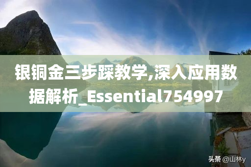 银铜金三步踩教学,深入应用数据解析_Essential754997