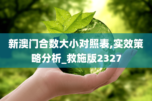 新澳门合数大小对照表,实效策略分析_救施版2327