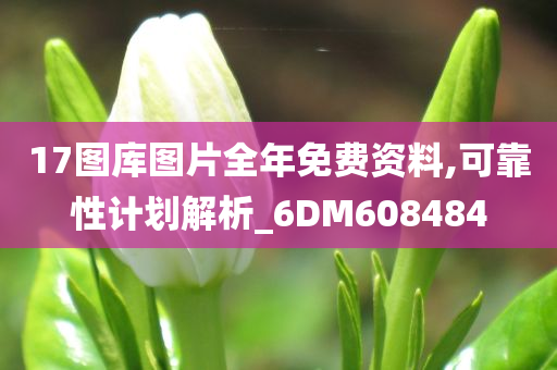 17图库图片全年免费资料,可靠性计划解析_6DM608484