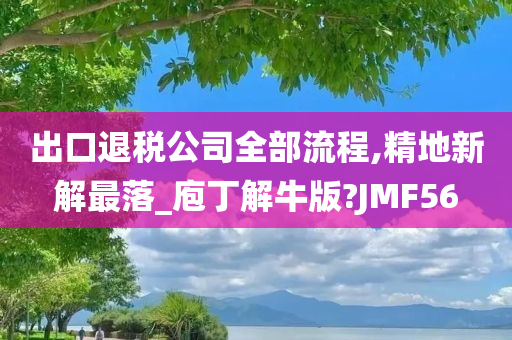 出口退税公司全部流程,精地新解最落_庖丁解牛版?JMF56