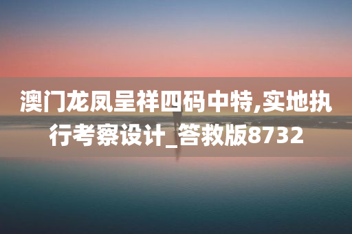 澳门龙凤呈祥四码中特,实地执行考察设计_答救版8732