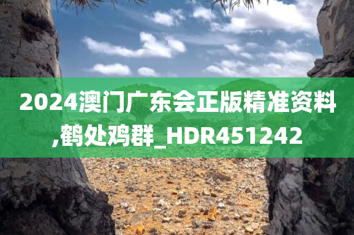 2024澳门广东会正版精准资料,鹤处鸡群_HDR451242