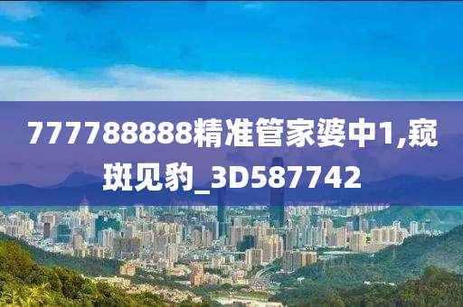 777788888精准管家婆中1,窥斑见豹_3D587742