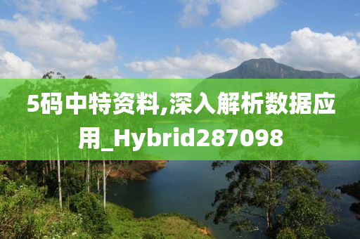 5码中特资料,深入解析数据应用_Hybrid287098