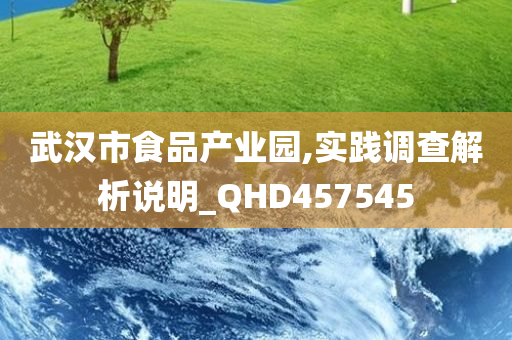 武汉市食品产业园,实践调查解析说明_QHD457545