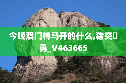 今晚澳门特马开的什么,猪突豨勇_V463665