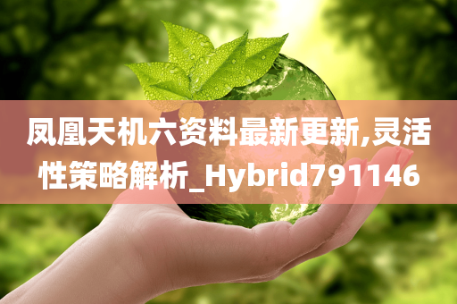 凤凰天机六资料最新更新,灵活性策略解析_Hybrid791146