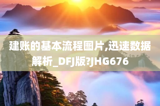 建账的基本流程图片,迅速数据解析_DFJ版?JHG676