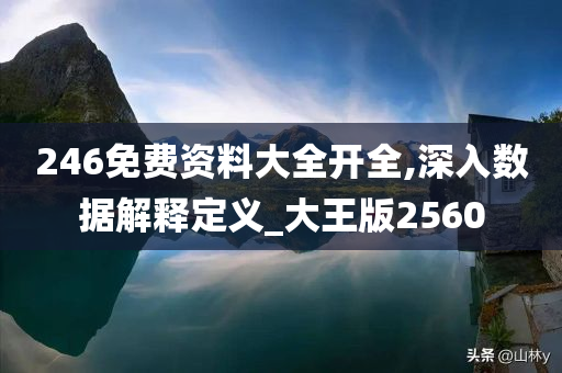 246免费资料大全开全,深入数据解释定义_大王版2560