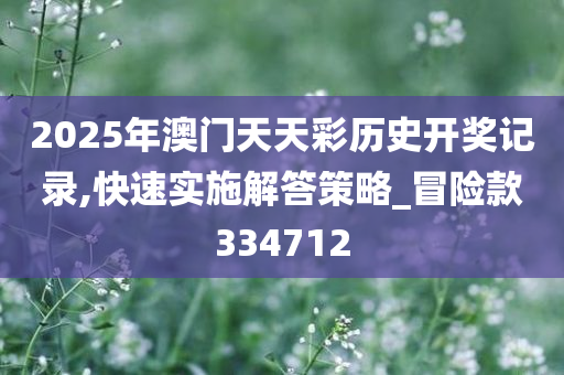 2025年澳门天天彩历史开奖记录,快速实施解答策略_冒险款334712