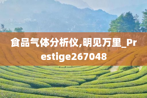 食品气体分析仪,明见万里_Prestige267048