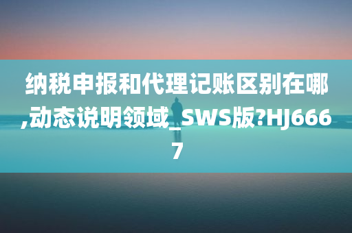 纳税申报和代理记账区别在哪,动态说明领域_SWS版?HJ6667