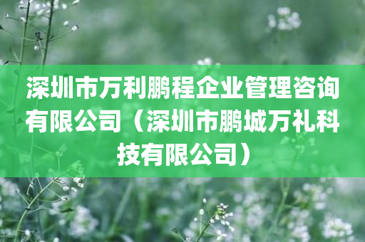 深圳市万利鹏程企业管理咨询有限公司（深圳市鹏城万礼科技有限公司）