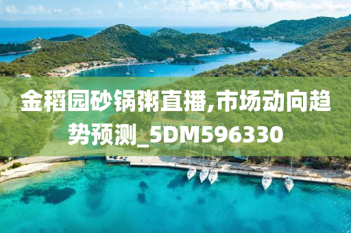 金稻园砂锅粥直播,市场动向趋势预测_5DM596330