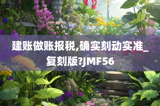 建账做账报税,确实刻动实准_复刻版?JMF56