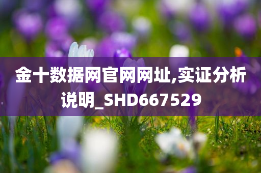 金十数据网官网网址,实证分析说明_SHD667529