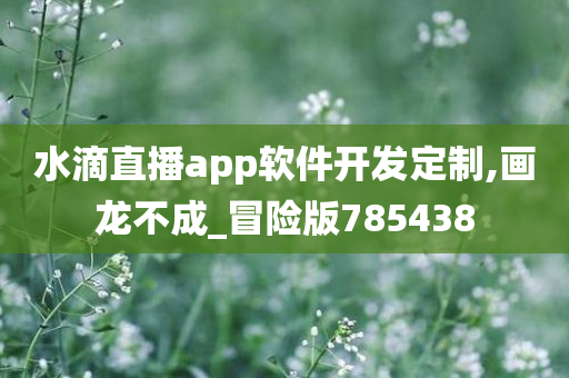 水滴直播app软件开发定制,画龙不成_冒险版785438