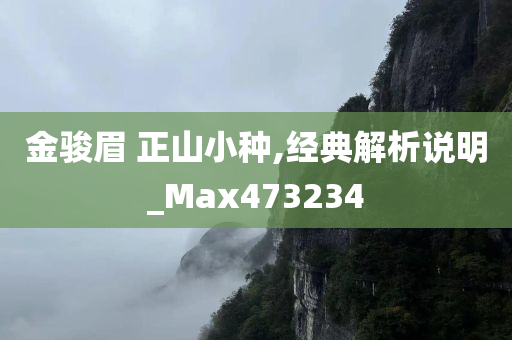 金骏眉 正山小种,经典解析说明_Max473234