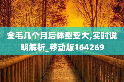 金毛几个月后体型变大,实时说明解析_移动版164269