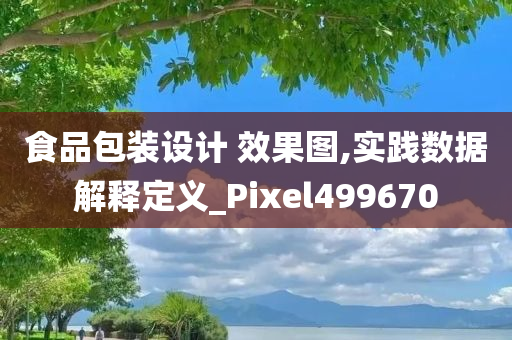 食品包装设计 效果图,实践数据解释定义_Pixel499670