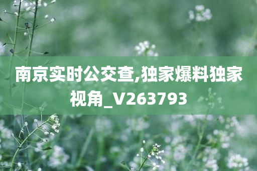 南京实时公交查,独家爆料独家视角_V263793