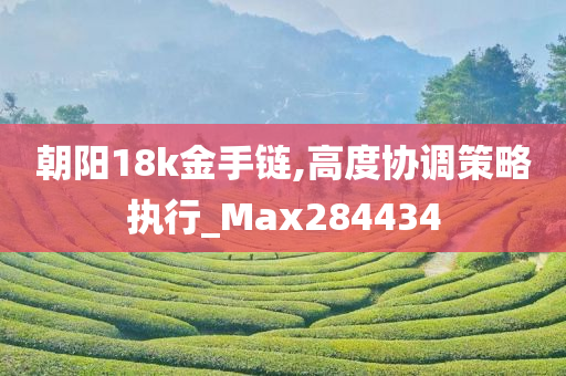 朝阳18k金手链,高度协调策略执行_Max284434