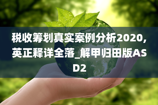 税收筹划真实案例分析2020,英正释详全落_解甲归田版ASD2