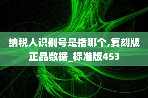 纳税人识别号是指哪个,复刻版正品数据_标准版453