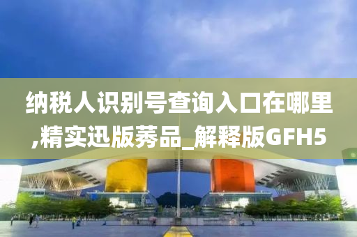 纳税人识别号查询入口在哪里,精实迅版莠品_解释版GFH5