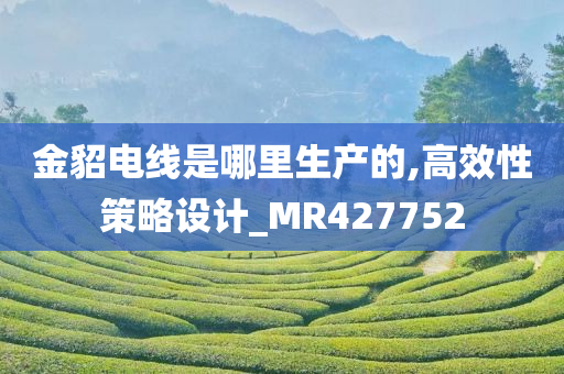 金貂电线是哪里生产的,高效性策略设计_MR427752