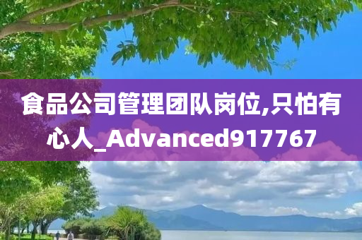 食品公司管理团队岗位,只怕有心人_Advanced917767