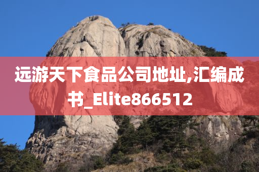 远游天下食品公司地址,汇编成书_Elite866512