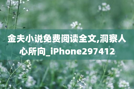 金夫小说免费阅读全文,洞察人心所向_iPhone297412