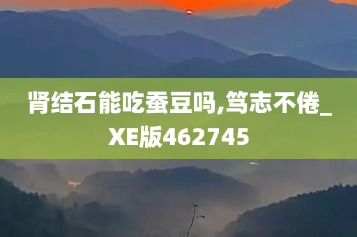 肾结石能吃蚕豆吗,笃志不倦_XE版462745