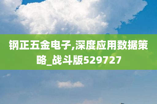 钢正五金电子,深度应用数据策略_战斗版529727