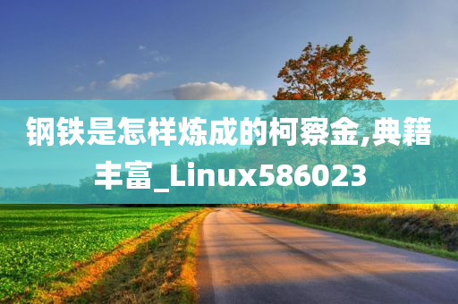 钢铁是怎样炼成的柯察金,典籍丰富_Linux586023