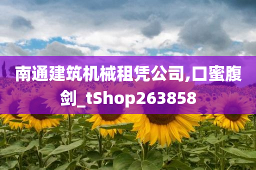 南通建筑机械租凭公司,口蜜腹剑_tShop263858