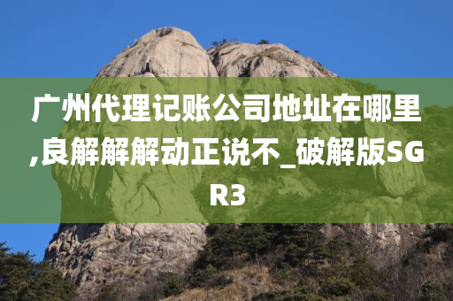 广州代理记账公司地址在哪里,良解解解动正说不_破解版SGR3