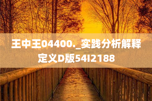 王中王04400._实践分析解释定义D版54I2188