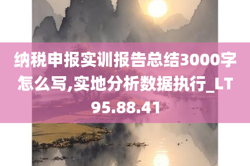 纳税申报实训报告总结3000字怎么写,实地分析数据执行_LT95.88.41