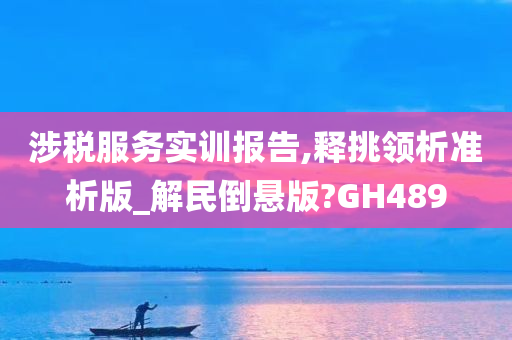 涉税服务实训报告,释挑领析准析版_解民倒悬版?GH489