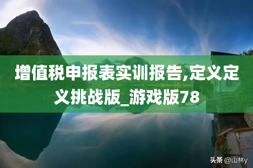 增值税申报表实训报告,定义定义挑战版_游戏版78