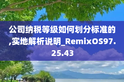 公司纳税等级如何划分标准的,实地解析说明_RemixOS97.25.43