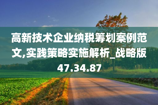 高新技术企业纳税筹划案例范文,实践策略实施解析_战略版47.34.87