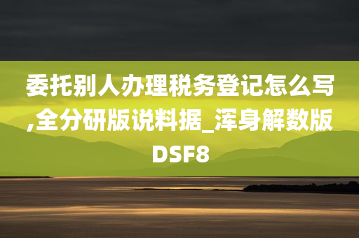 委托别人办理税务登记怎么写,全分研版说料据_浑身解数版DSF8