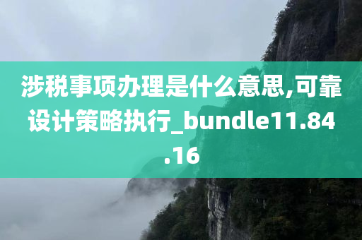 涉税事项办理是什么意思,可靠设计策略执行_bundle11.84.16